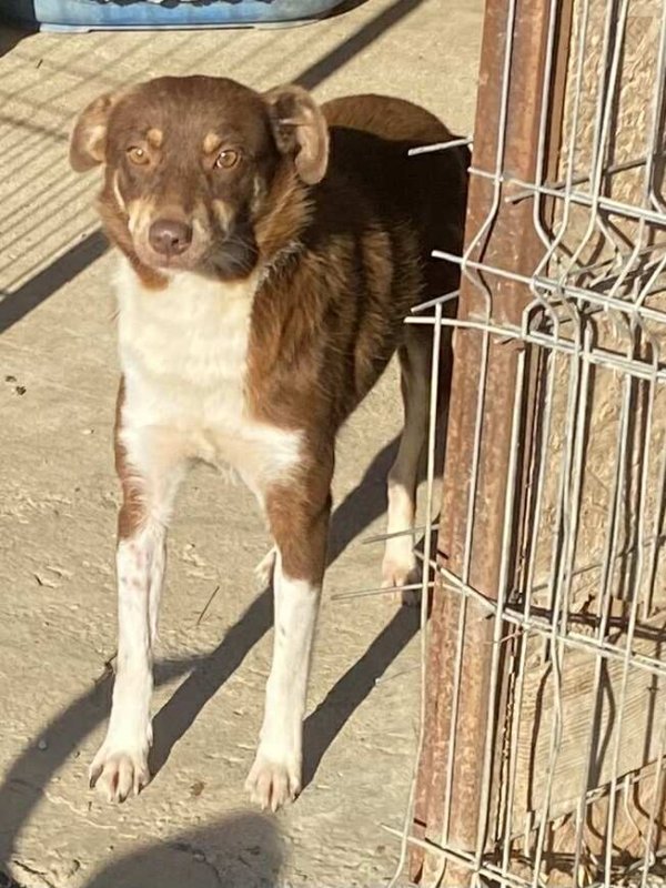 566485908 2284005148743654 1917621569027216598 n