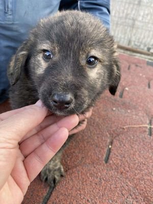 566510327 1507552917120255 3440587483310046621 n