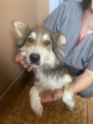 566512815 1304612031416277 2493710711330389217 n