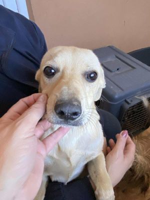 566513615 1148727554019383 2214313878045821511 n