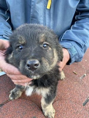 566516471 1624476385592484 5920399343637995420 n