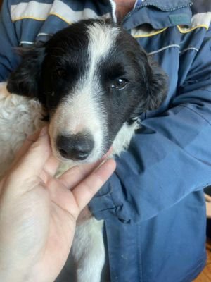 566516538 1083675623658693 6279486596124568231 n