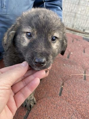 566518060 660532970225731 5678042055215477000 n