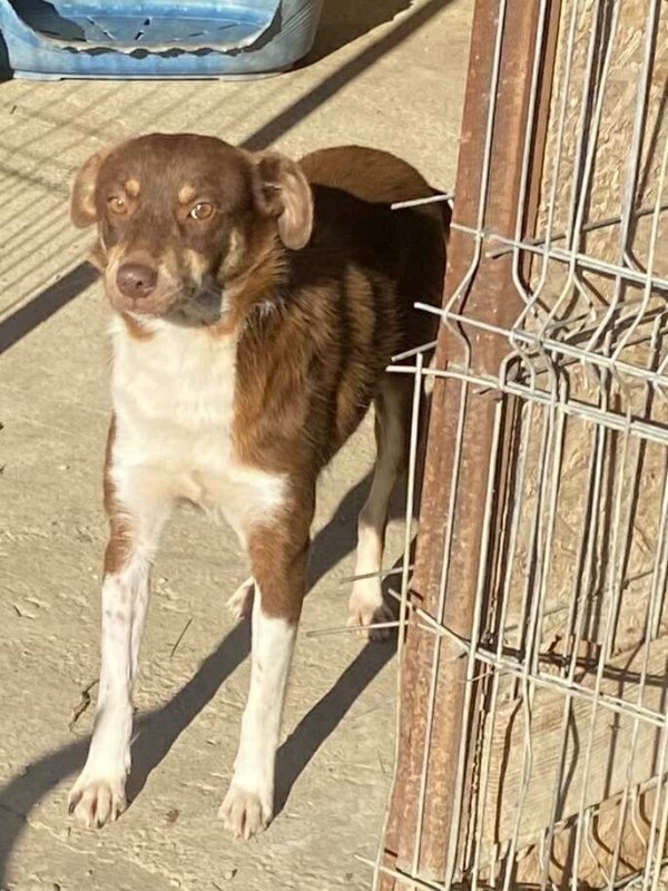 566519869 824060853442308 3506574916057652557 n