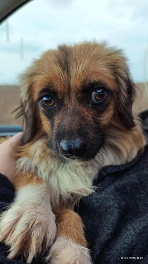 566527945 1369529788121949 9168772535576153105 n