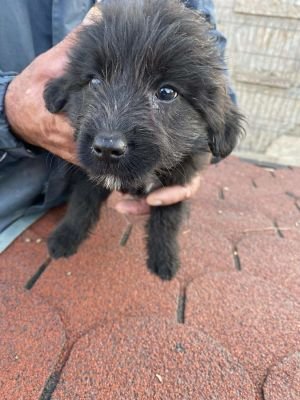 566529967 1799763587320125 8358415063284174526 n