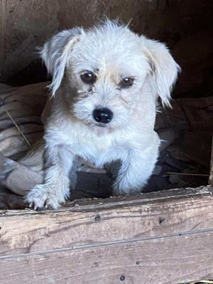 566531613 3956066841313401 7635325637734171149 n