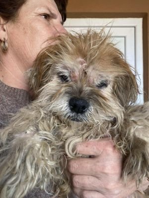 566532126 2110259019735715 3402987634257583986 n