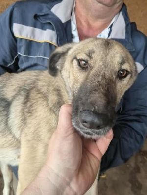 566534996 1153533496354313 4790981100208885415 n