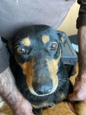 566535345 1323315979435759 4855696303970785567 n