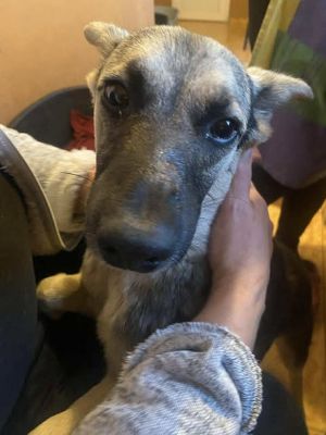 566538901 3756768407962002 2572264604106892886 n