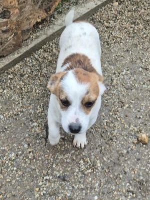 566545112 1334186601072276 8566765537702514159 n