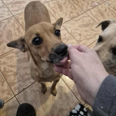 566550112 1498132628066377 4978734151887649099 n