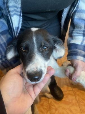 566551492 25478199288469956 4376549500285043257 n