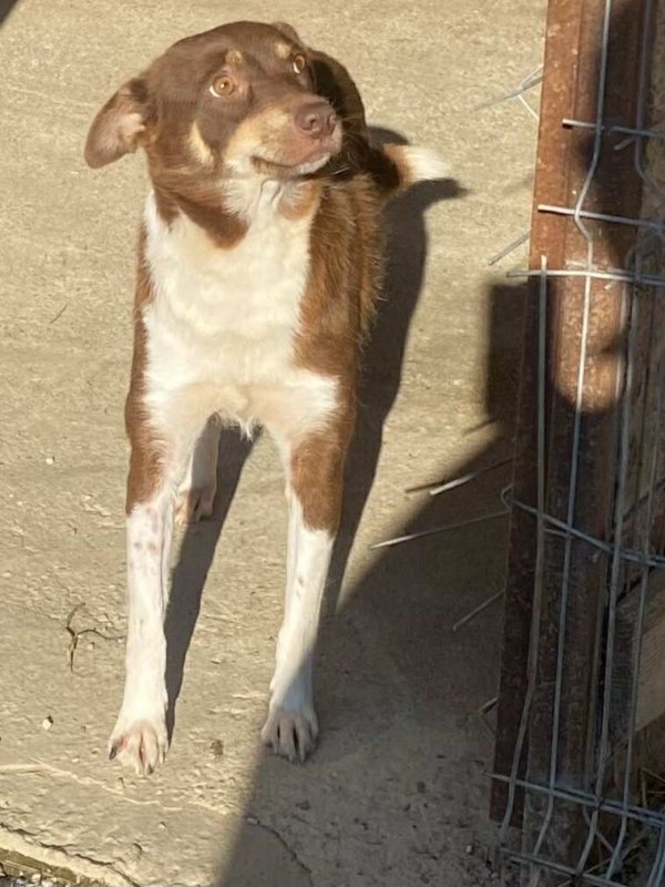 566557759 1122789149832801 8869897056361899252 n