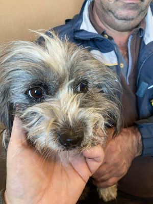 566558396 1577622473397740 6063305477049162817 n