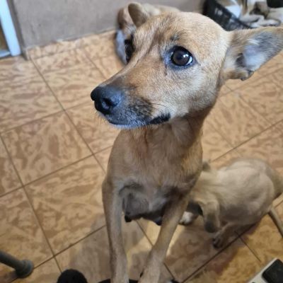 566567057 1162071632013320 2194837542892658991 n