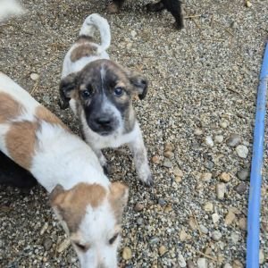 566574587 719849473888220 4550977840735375037 n