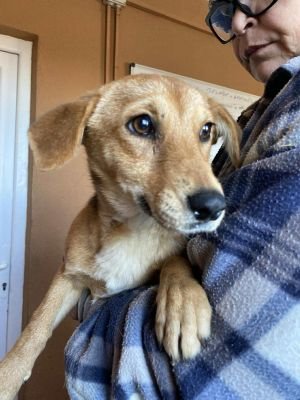 566578839 1374540470970102 8089862380727890744 n