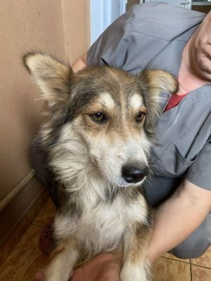 566578839 693245020490092 8986387938015217020 n