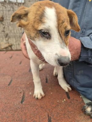 566578839 771359339267545 2187341367501426567 n