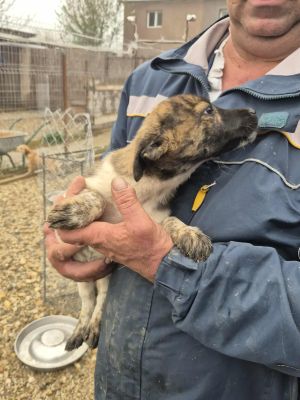 566578842 1215859797257198 1628865470408021592 n