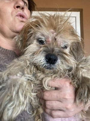 566585461 1115896060302378 4953243299252742998 n