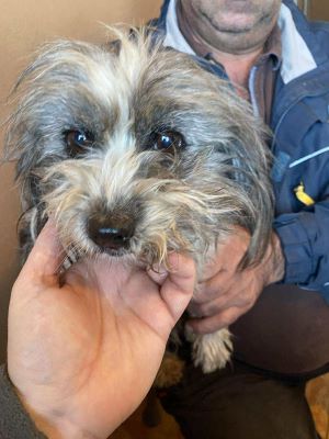 566593172 624990013937382 490981947747387918 n