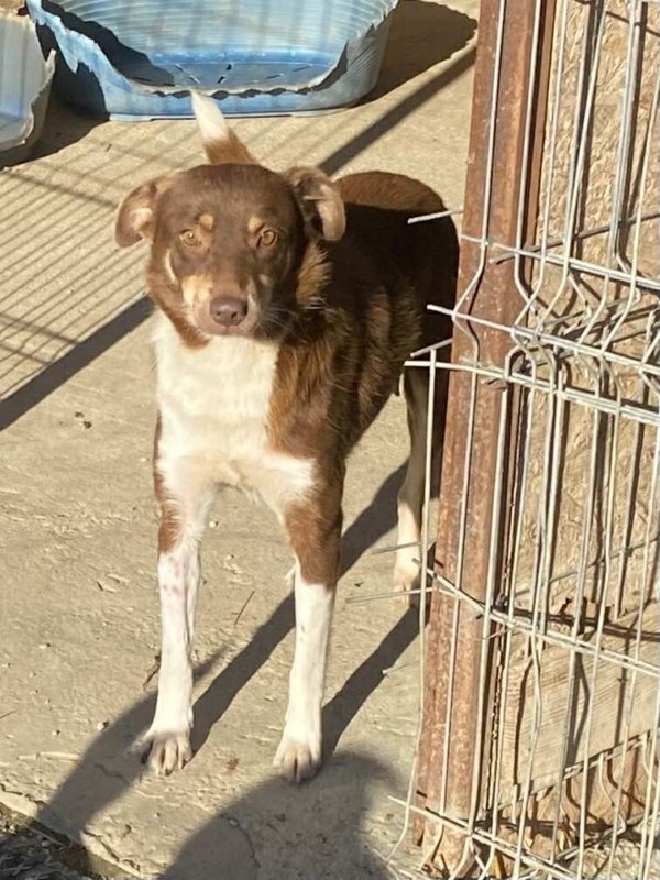 566594405 1310568347484397 4505202034869961861 n