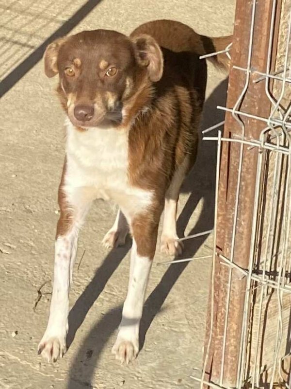 566599062 820269423702051 2331271995831951532 n