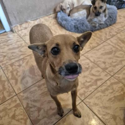 566619488 5082106305348561 5181235750726672641 n