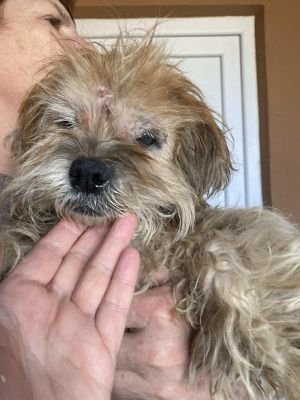 566624592 816316194354535 7600795519773936837 n