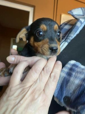 566632404 1568465744347602 8380501127974826170 n