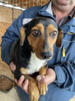 566638968 1372405961196850 6992239602745673546 n