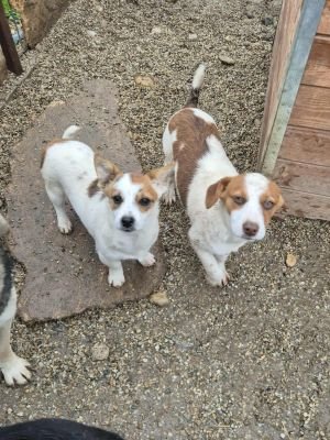 566658670 1265566858661384 6176649274569956758 n