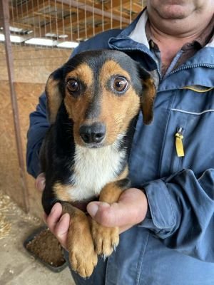 566667388 869031548884693 8685772542165120781 n