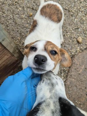 566668609 1143332090820652 5908836917262351760 n