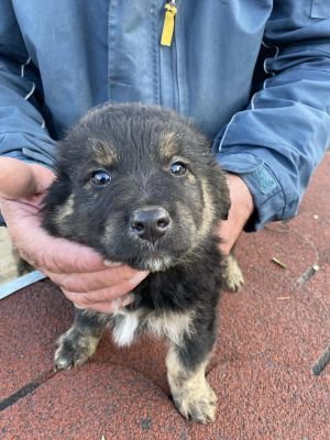 566674070 841116311707054 2486998021593321089 n