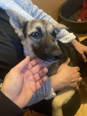 567069629 3603868366417277 6730964303151943274 n