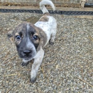 567099073 1282743660271106 8461123494931160186 n