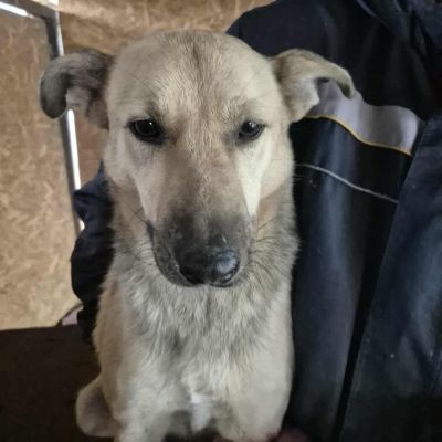 567110113 3029962960539623 2354089088815225670 n