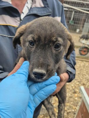 567175611 845840931734087 8519176700911949432 n