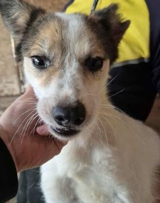 567187077 1516406056361578 538944257644596475 n (1)