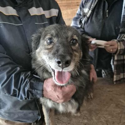 567191566 1547444076278667 1688522559163018188 n