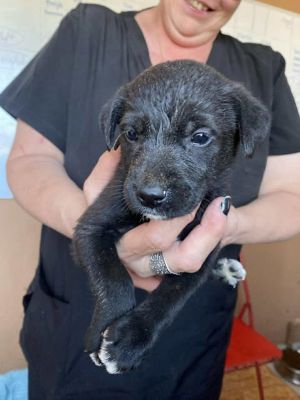 567709395 24973572262283365 7416950879697607667 n