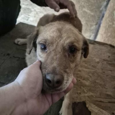 567790307 2780698512127087 4493583072064404258 n