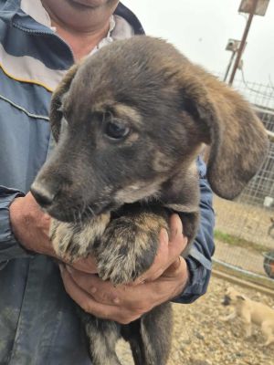 568199479 2340281923060671 6109034454017369405 n