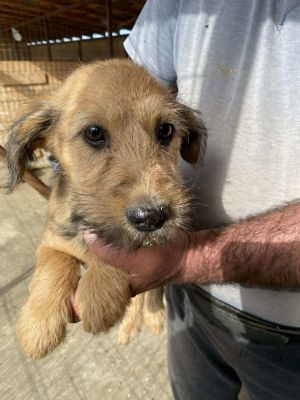 568401382 24983474094626515 7083650244145754628 n