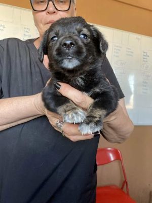 568641451 24973606848946573 8508883247185884007 n