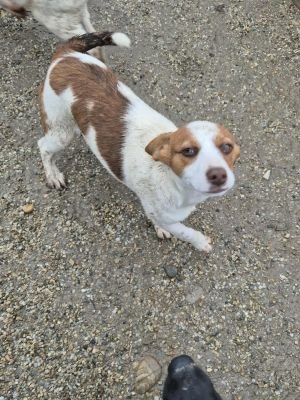 568652703 722296576910250 6951722569851519073 n